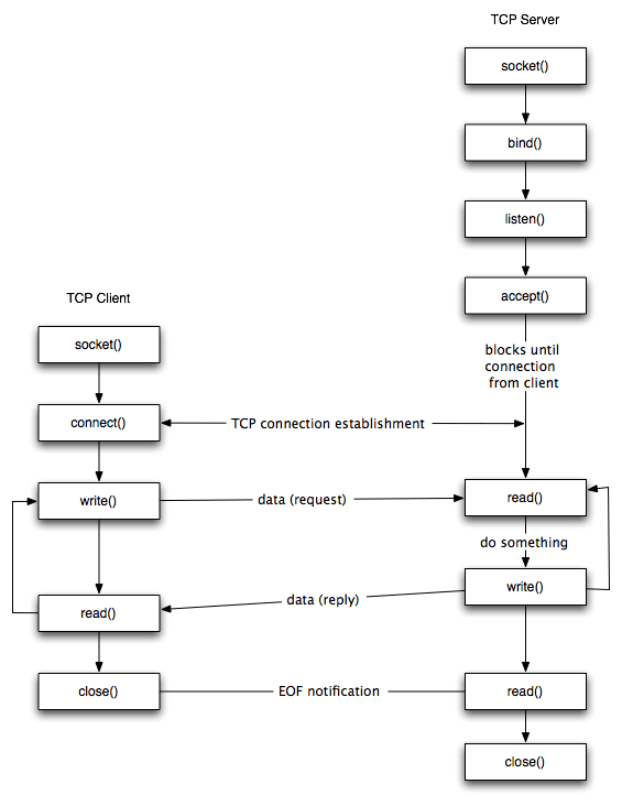 TCP Archi