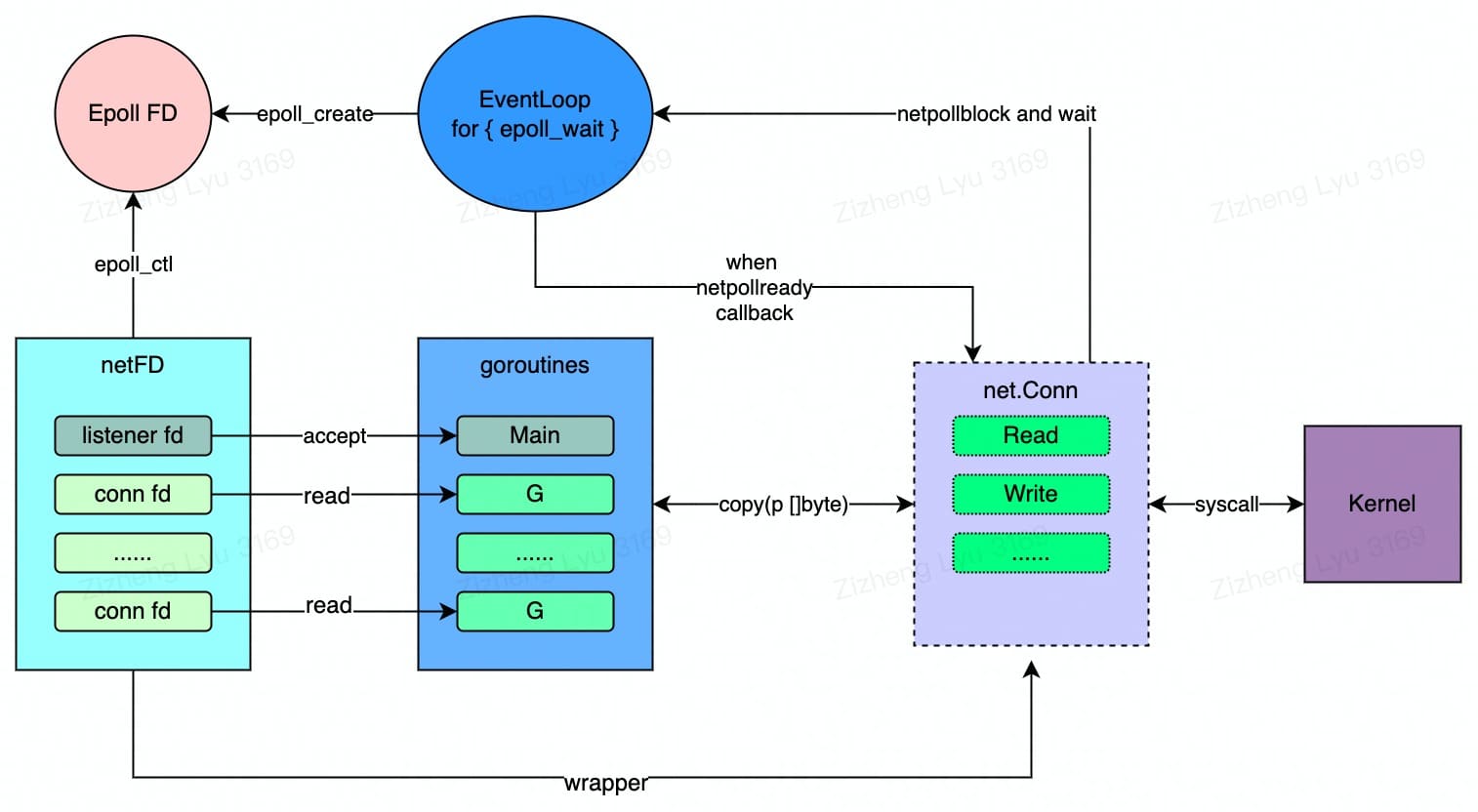 Net Package